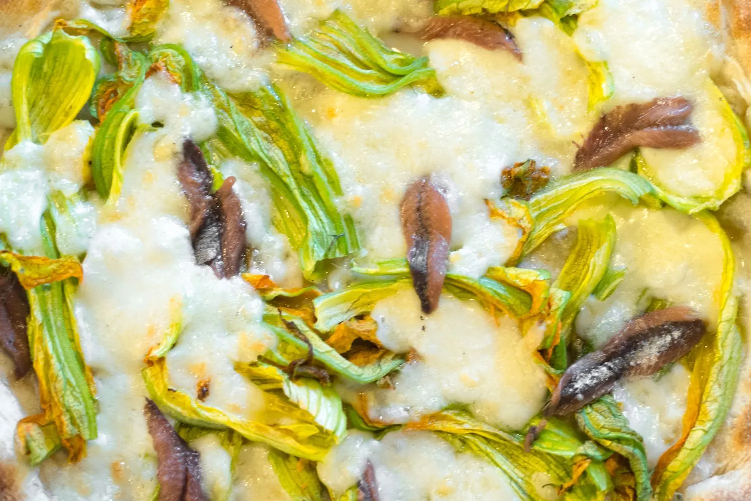 Pizza con fiori di zucca e alici